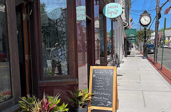 Take Dobbs Ferry Survey