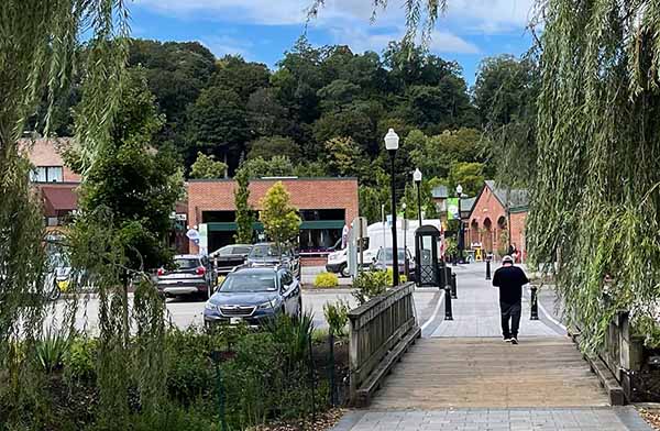 Take Mt. Kisco Survey